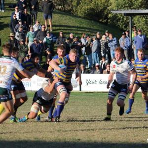 SUFC Grade Round 10 Warringah