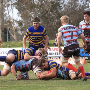 SUFC Grade Round 16 Souths